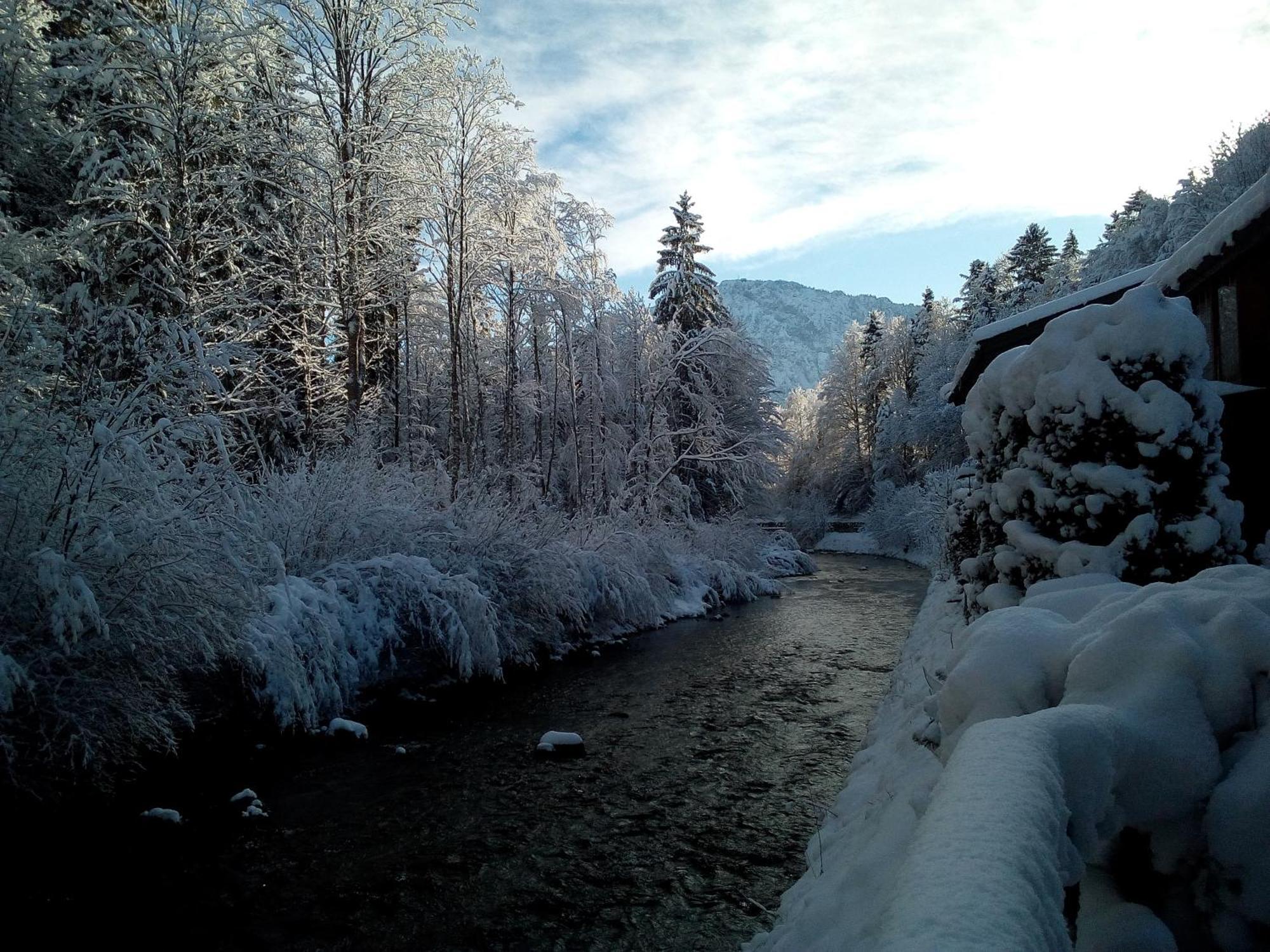 Ferienwohnung Kaidisch - Reiter Inkl. Chiemgaukarte Ruhpolding Bagian luar foto
